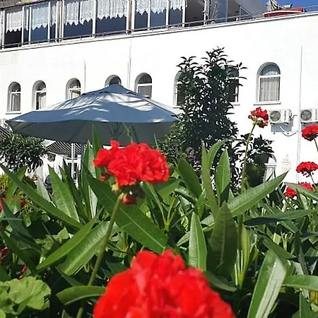 My Marin トゥルグトレイス