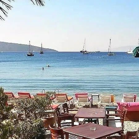 My Marin トゥルグトレイス