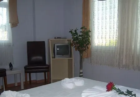 My Marin トゥルグトレイス